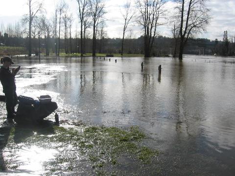 Fry Seining, Clackamette, 2012 | Fry Habitat, Lower Willamette