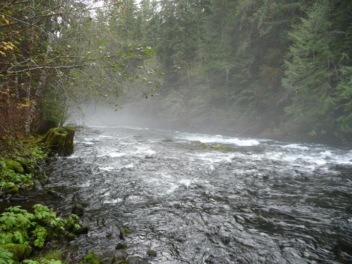 McKenzie Rive below Trail Bridge