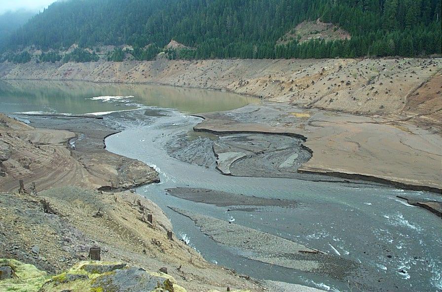 Cougar reservoir drawdown: view from hotspring parking lot 4/5/02